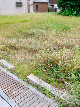 価値を失わない共有地の土地活用方法14