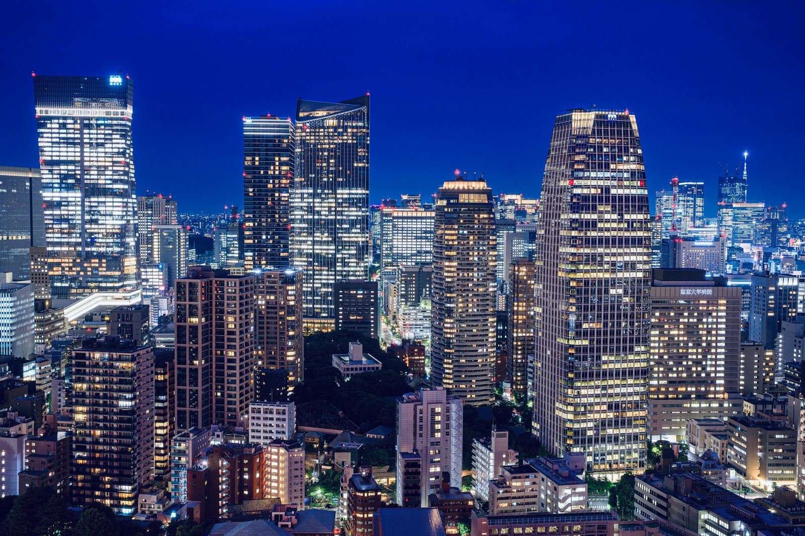 東京のエリア写真