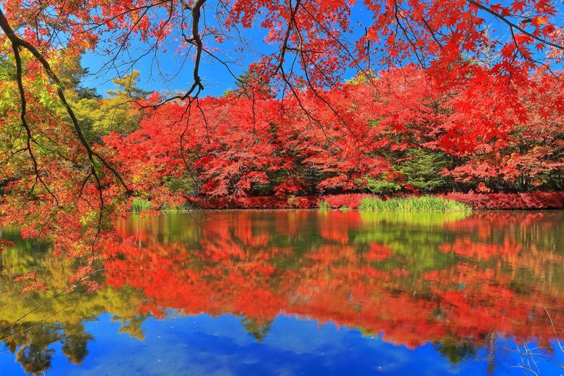 旧軽井沢のエリア写真