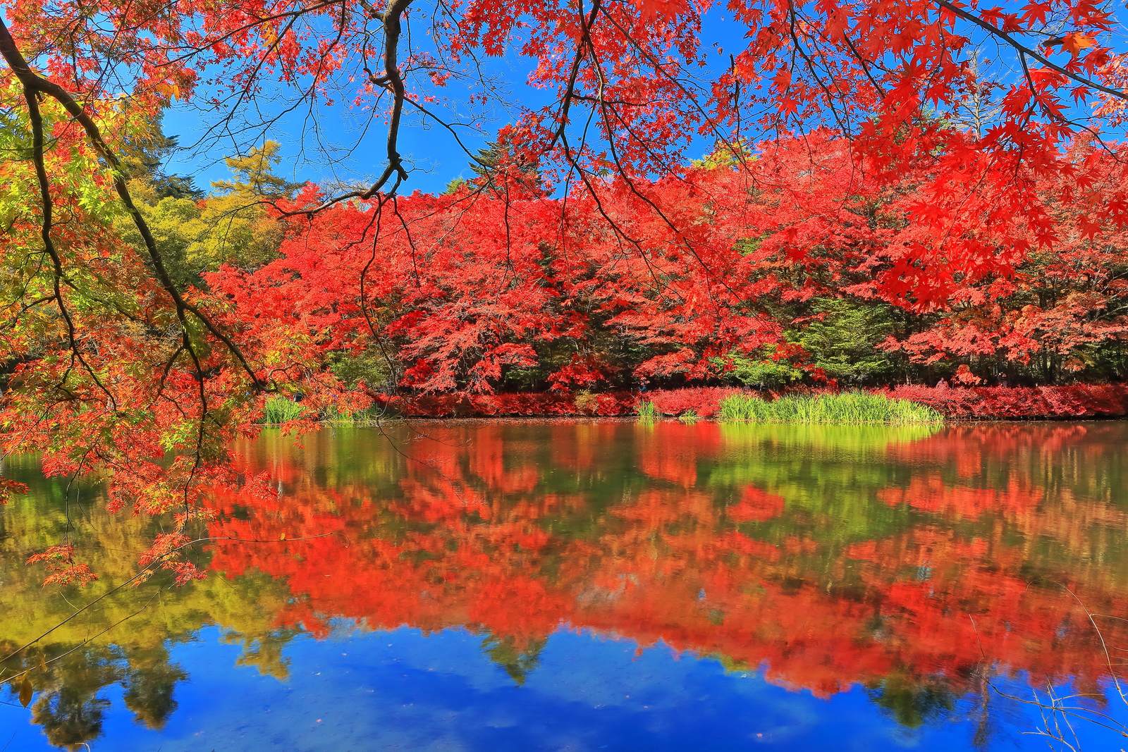 旧軽井沢のエリア写真