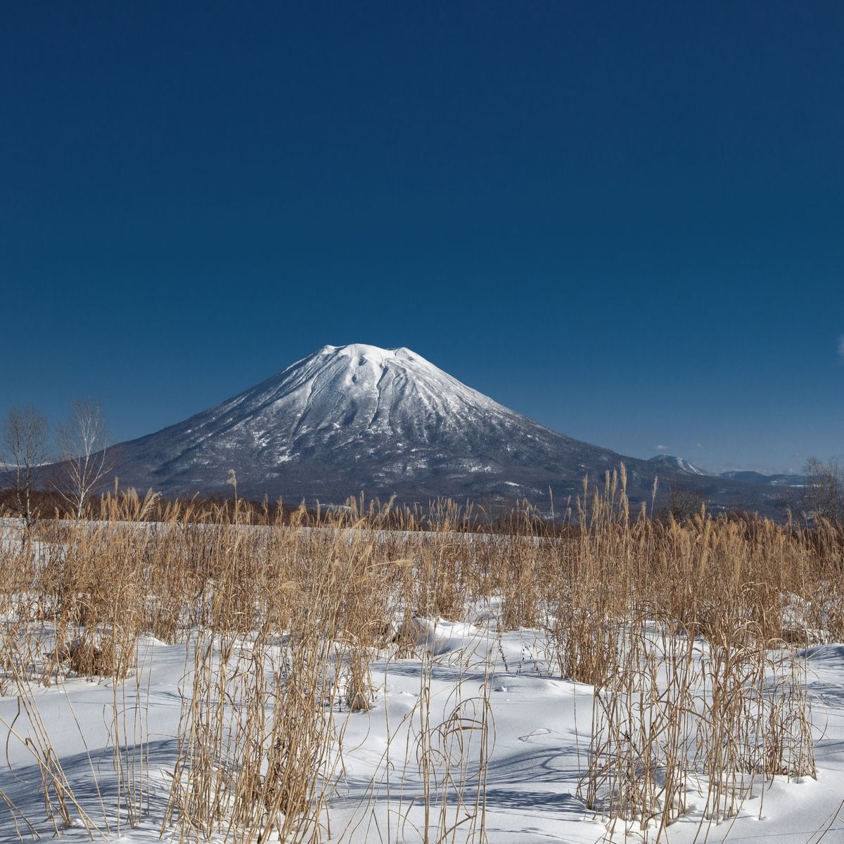 WORLD-CLASS POWDER