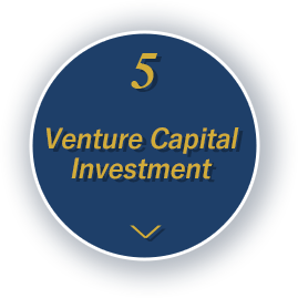 5.Venture capital investment